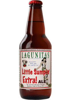 Lagunitas A Little Sumpin Extra | Total Wine & More