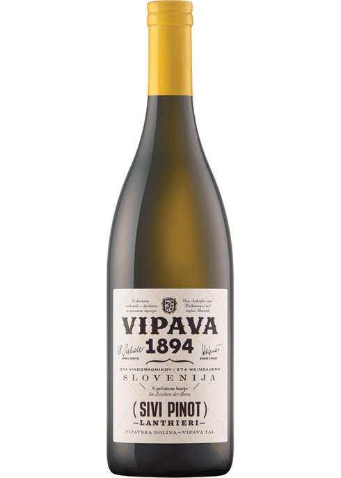 & Vipava Wine Pinot Sivi More | Total