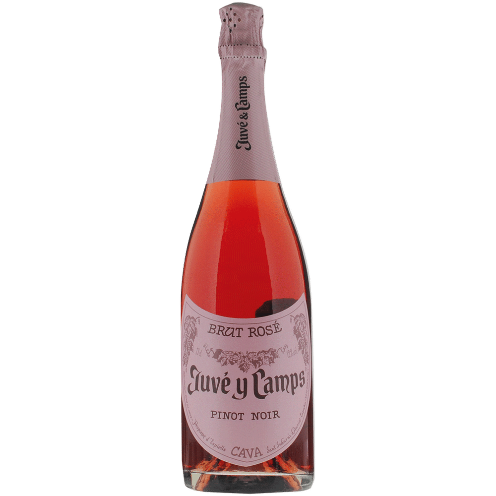 Juve & Brut Total More | Noir Pinot & Rose Wine Camps
