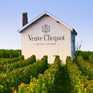 Champagne VEUVE CLICQUOT Réserve Cuvée Brut – Cave des Sacres