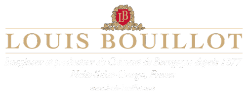 Louis Bouillot Wine | Total Wine & More