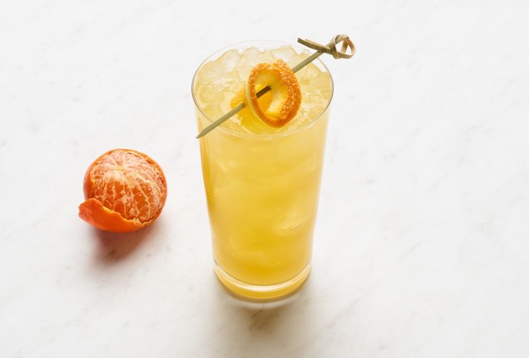 https://www.totalwine.com/site/binaries/t1617891484171/content/gallery/cocktail-recipe-images/recipe-detail-images/vodka-images/orangecrush.jpg