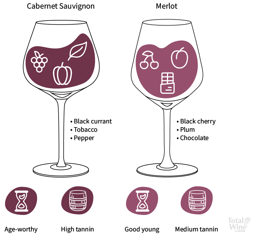 Merlot, Wine Guide
