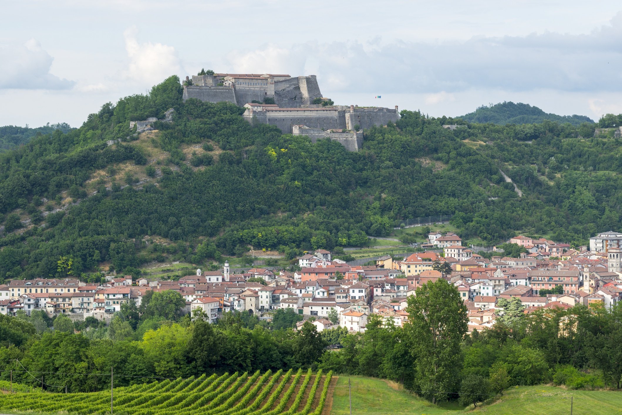 Gavi Wine Region | Total Wine & More